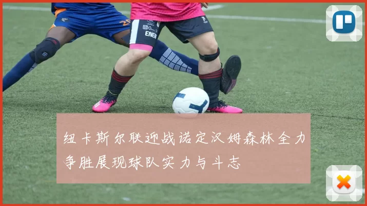 纽卡斯尔联迎战诺定汉姆森林全力争胜展现球队实力与斗志