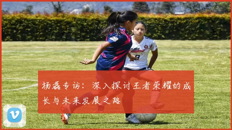 杨磊专访：深入探讨王者荣耀的成长与未来发展之路