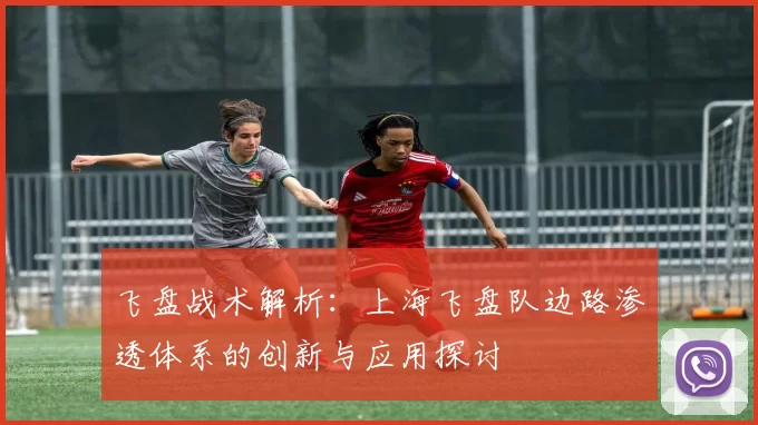 飞盘战术解析：上海飞盘队边路渗透体系的创新与应用探讨