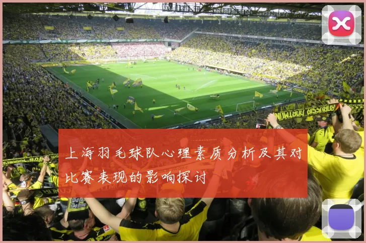 上海羽毛球队心理素质分析及其对比赛表现的影响探讨