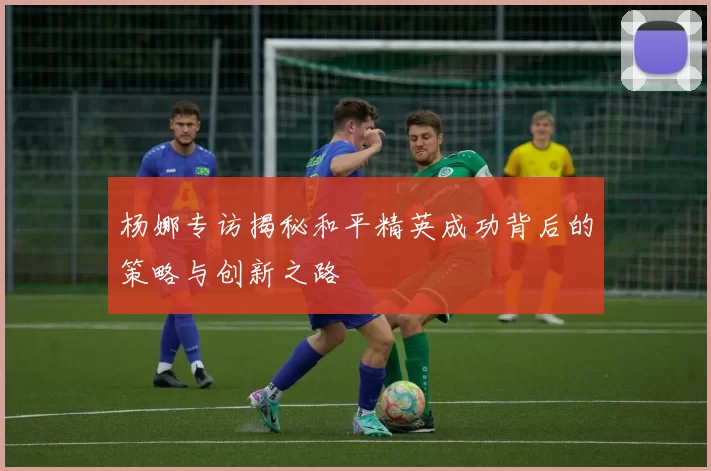杨娜专访揭秘和平精英成功背后的策略与创新之路