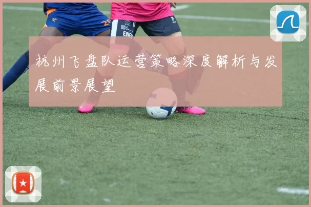 杭州飞盘队运营策略深度解析与发展前景展望
