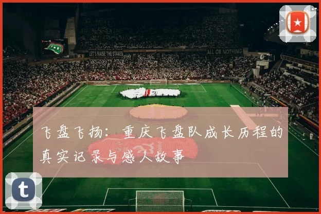 飞盘飞扬：重庆飞盘队成长历程的真实记录与感人故事