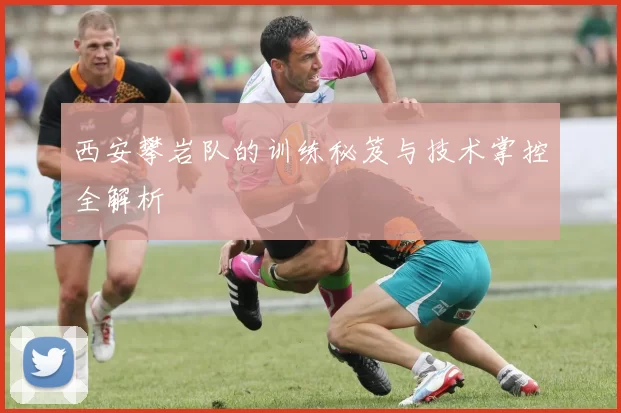 西安攀岩队的训练秘笈与技术掌控全解析