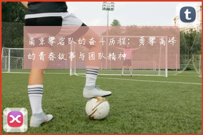 南京攀岩队的奋斗历程：勇攀高峰的青春故事与团队精神