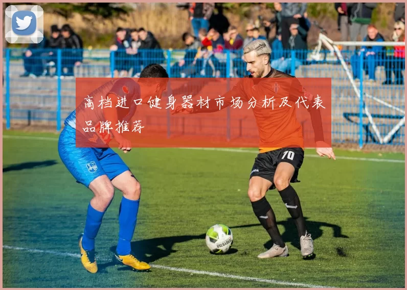 高档进口健身器材市场分析及代表品牌推荐