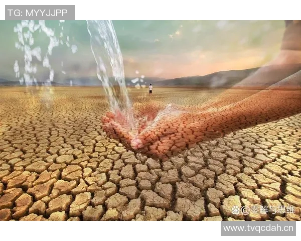 全球气候变化加剧 联合国警告各国需紧急行动应对极端天气挑战