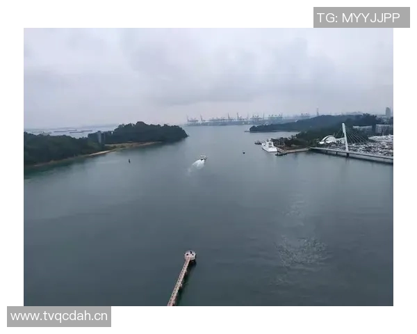 越南与马来西亚精彩对决直播时间定于12月11日敬请关注